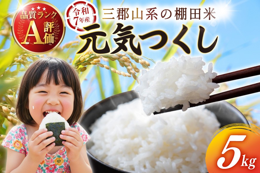 
            米 5kg 令和7年 元気つくし [福岡県 宇美町 um40azp240001] 新米 令和7年産 お米 おこめ こめ 精米 白米 5キロ
          