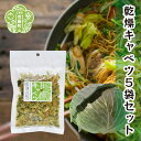 【ふるさと納税】乾燥キャベツ 40g×5袋セット 乾燥野菜 非常食 備蓄 ダイエット 食物繊維 キャンプ アウトドア 世羅 A047-13