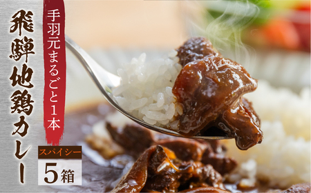飛騨地鶏カレー 5袋 スパイシー レトルト パウチ チキンカレー 手羽元 [DK013]