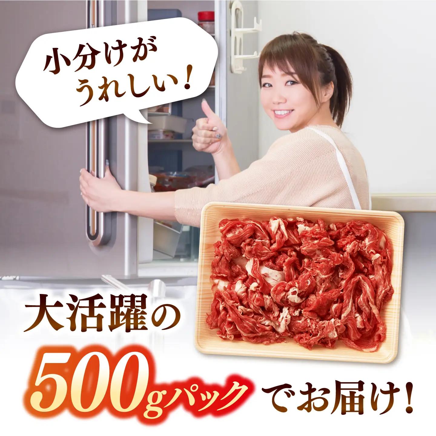 博多和牛 切り落とし500g ADAQ001 牛肉 切り落とし