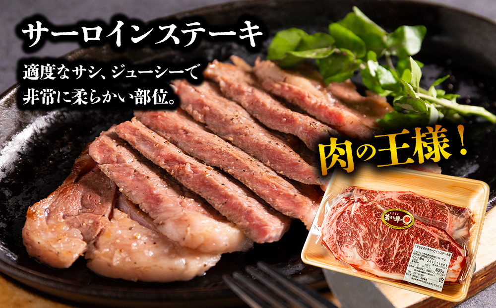 大満足！あか牛いろんな部位をお届け！サーロインステーキ すき焼き 切り落とし 3種詰合せ あか牛 サーロイン ステーキ 焼肉 牛肉 冷凍 赤牛 あかうし 熊本 贈り物 冷凍 矢野畜産 熊本県 阿蘇市