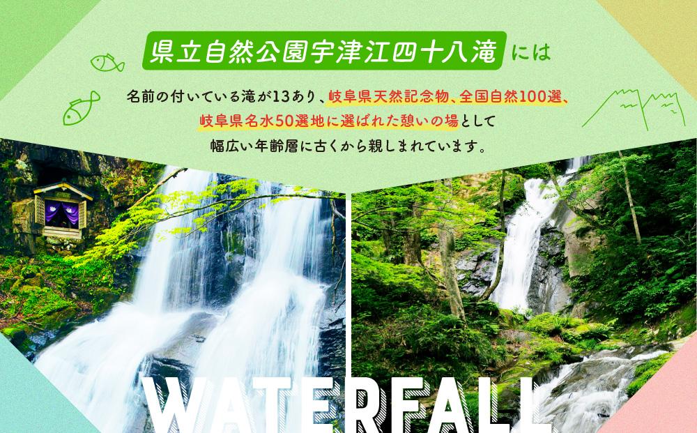 入浴・食事・リラクゼーション・岩盤浴・キャンプ(バンガロー)共通利用券【四十八滝温泉しぶきの湯＋キャンプ場】飛騨国府観光株式会社 EL001