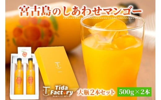 
            宮古島のしあわせマンゴー　大瓶２本セット【500ｇ×2本】(T114)
          