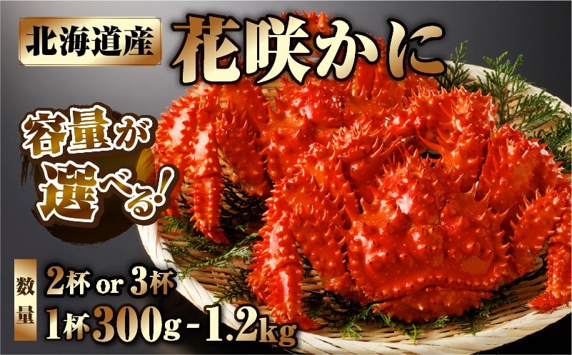 
                  【容量が選べる】花咲かに_H0001-1181-SKU
                