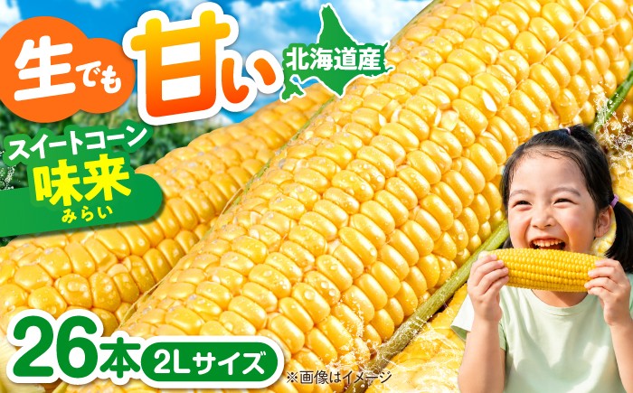 
                  【8月下旬以降順次発送】生でも甘い！ スイートコーン 味来 2L 26本《喜茂別町》【Aコープようてい】スイートコーン とうもろこし トウモロコシ スイートコーン コーン 北海道 甘い あまい とうきび 期間限定 先行予約 人気 [AJAK007]
                