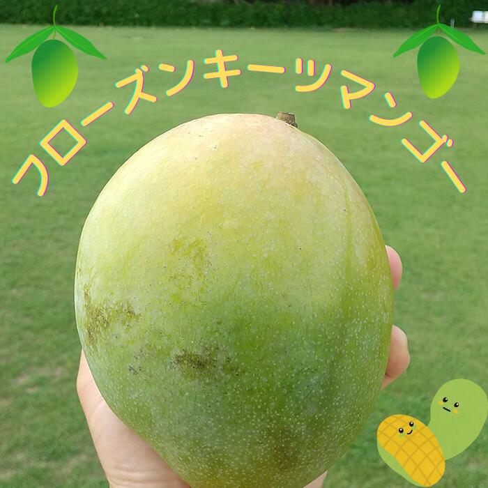 【ふるさと納税】フローズンキーツマンゴー 《急速冷凍》600g（FU007）