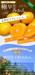 みかん　極早生小粒みかん 約10kg【家庭用】 【BV-mrmt055】