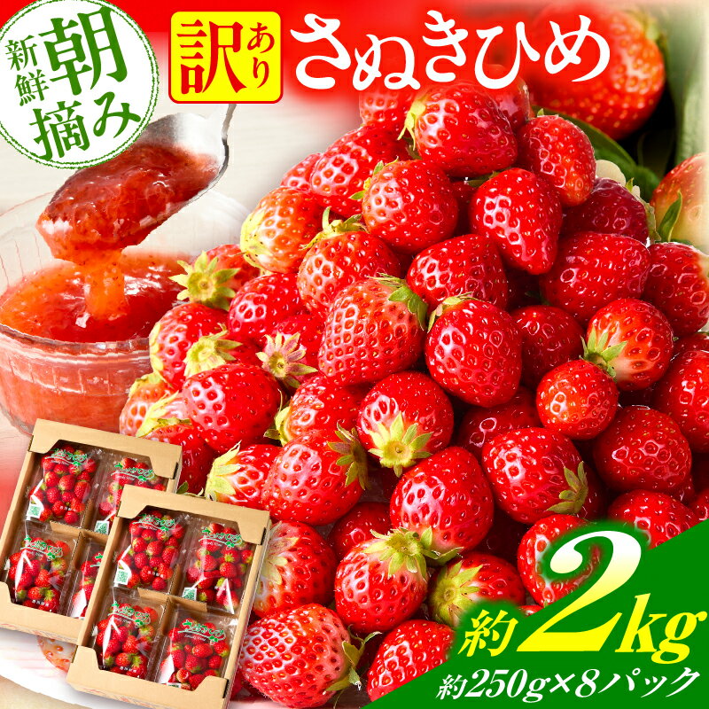 【ふるさと納税】【先行予約】訳あり 苺音クラフト〜加工用さぬきひめいちご約2kg スイーツ いちご 青果物 果汁 果肉 旬の果物 ストロベリー さぬきひめ 苺 冷蔵 フルーツ 旬 訳あり果物 香川県 デザート 青果物 先行予約 季節限定 旬 おすすめ 三木町 送料無料