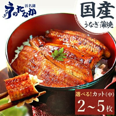 【ふるさと納税】国産うなぎカット蒲焼(中)【2枚/3枚/5枚】_ ウナギ 鰻 うなぎ かば焼き 蒲焼き 人気 美味しい 国産 産地直送 小分け 個包装 ギフト 贈答 専門店 冷凍 浜名湖 静岡【配送不可地域：離島】【G1417529】