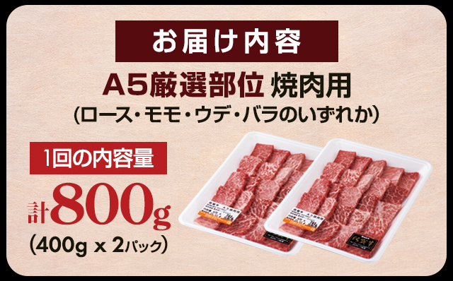 【定期便】佐賀牛 A5 焼肉用 厳選部位 800g 12回定期 計9.6kg(800gx12) 桑原畜産 ブランド牛 小分け 赤身 黒毛和牛 高評価 牛肉 人気 佐賀県 小城市