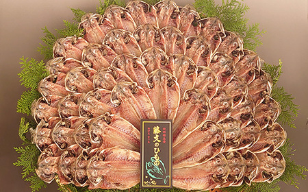 藤文の「真あじ大満足セット」 真あじ 真アジ 鯵 50枚 干物 ひもの 冷凍 西伊豆 伊豆 ギフト お歳暮 お中元[0823203]