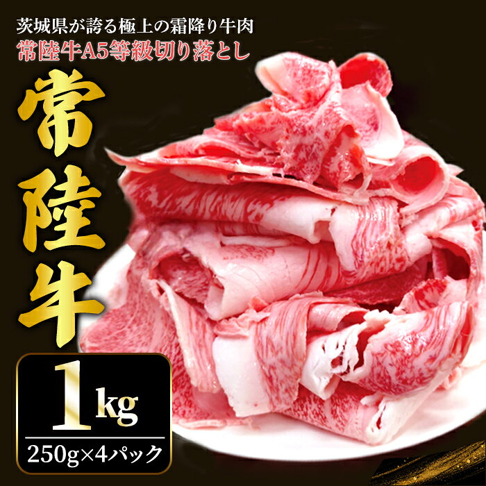【ふるさと納税】常陸牛 A5等級 牛肉 切落し 計1kg [500g×2パック] 茨城県共通返礼品 国産 5等級 A5ランク 茨城県 肉 霜降り 切り落とし 小間切れ 冷凍 牛丼 すき焼き カレー 小分け おかず ぎゅうにく きりおとし ギュウニク キリオトシ 【そうざい男しゃく】【ho1561】