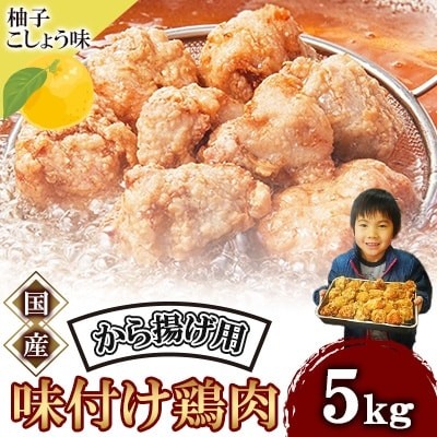
                  唐揚げ 5kg 冷蔵 柚子胡椒 味 新鮮 唐揚げ 鶏の唐揚げ 人気 特製 5kg 味付け 柚子こしょう 鶏肉 肉 モモ肉 とりにく とり肉 味つき 簡単 簡単調理 惣菜 そうざい おつまみ お弁当 おかず  ごはん からあげ から揚げ 鶏肉 なだまさ  福岡県 川崎町
                