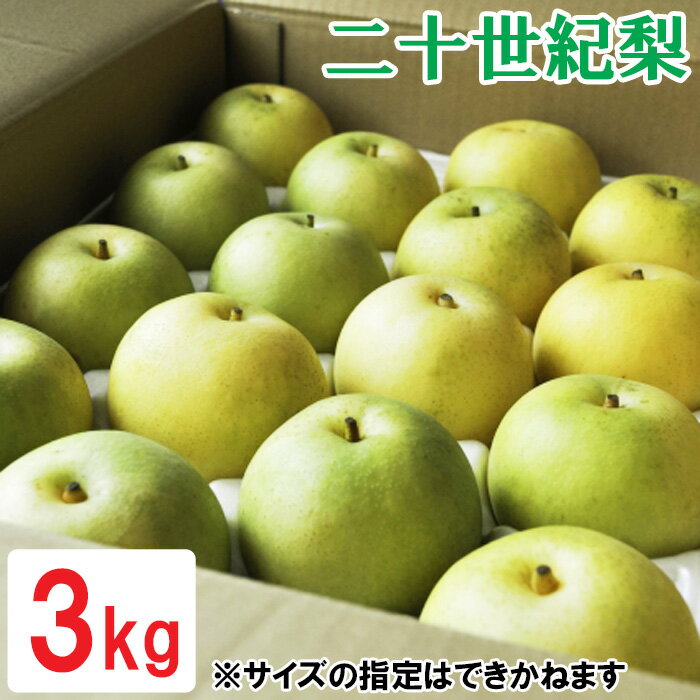 【ふるさと納税】鳥取県産 二十世紀梨　3kg　OK04
