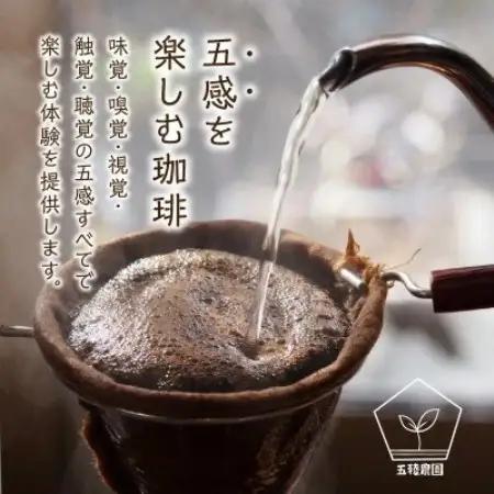 五稜珈琲 ブルーマウンテン100g×2袋【粉タイプ】【1742475】