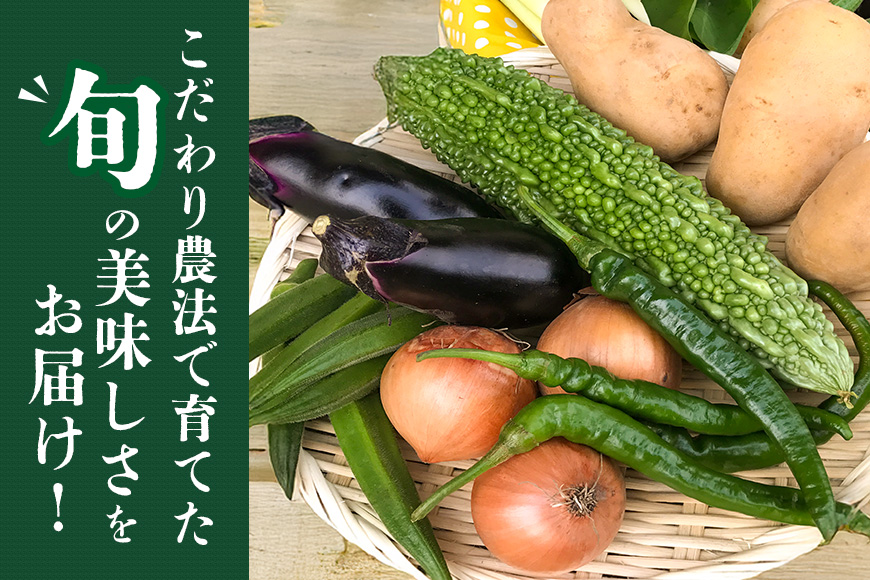 ＜ハーフサイズ＞ 『身体が喜ぶ野菜』詰め合わせ ( おまかせ ) 野菜 詰合せ 詰め合わせセット お任せ 季節の野菜 セット 栽培期間中農薬不使用 有機栽培 微生物農法 EM農法 露地栽培 産地直送 