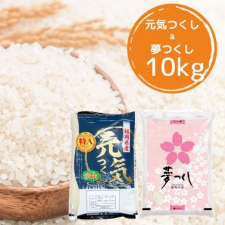 福岡県産米食べ比べ〈白米〉「夢つくし」と「元気つくし」セット　計10kg芦屋町