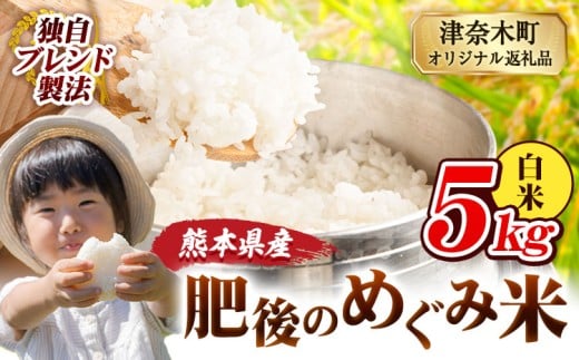 白米 熊本県産 ブレンド米 肥後のめぐみ米 5kg 熊本県産 ふるさと納税 精米 米 こめ ふるさとのうぜい コメ お米 おこめ《10月中旬-12月末頃出荷》