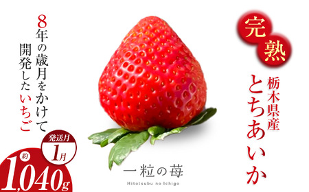 【1月発送】完熟いちご とちあいか 栃木県真岡市産 1040g | 2026 年 先行予約 選べる 1月 いちご 苺 strawberry ストロベリー おいしい 甘い ジューシー 贈答用 プレゼント ご褒美 スイーツ おやつ 高評価 人気 レビュー 栃木県 真岡市 日本一 送料無料