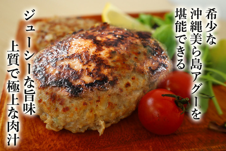 美ら島あぐー ハンバーグ 20個 セット 沖縄県 おかず 惣菜 アグー豚 使用 冷凍 4個×5パック 小分け おいしい 肉 糸満市 国産 肉汁 たっぷり ブランド豚 ジューシー 肉厚 お中元 ギフト 