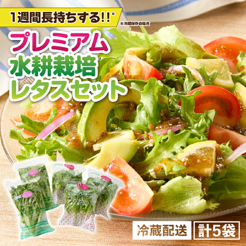 【ふるさと納税】 洗わずに食べられる プレミアム 水耕栽培 レタス 5袋 ヘルシーリーフ リーフレタス フリフリリーフ フリルアイス 野菜 サラダ 農薬不使用 無農薬 旭信興産アグリーン事業部 鹿児島 鹿屋市 おすすめ ランキング プレゼント ギフト