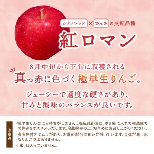 数量限定 江刺りんご 紅ロマン 2.3kg(8～11玉) 【8月下旬以降お届け】離島配送不可 [AQ021]