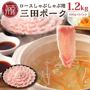 三田ポーク ロースしゃぶしゃぶ用 1.2kg(400ｇ×3パック)〈豚肉 ふるさと納税 セット ロースしゃぶしゃぶ 小分け 豚しゃぶ しゃぶしゃぶ肉 お取り寄せ お取り寄せグルメ 送料無料〉【2401A00210】