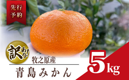 訳あり みかん 青島 みかん 約 5kg 先行予約 2025年 12月 下旬 から 発送 ミカン 蜜柑 柑橘 果物 フルーツ 数量限定 果汁 果実 農家 直送 ギフト 贈答 美味しい みかん みかん みかん みかん 国産 安心 minorien 牧之原市 静岡県
