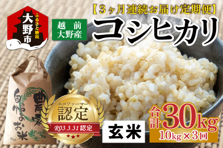 【先行予約】【令和8年産 新米】【3ヶ月定期便】越前大野産 エコファーマー認定農家栽培こしひかり 玄米 10kg × 3回 計30kg【2026年10月より順次発送】