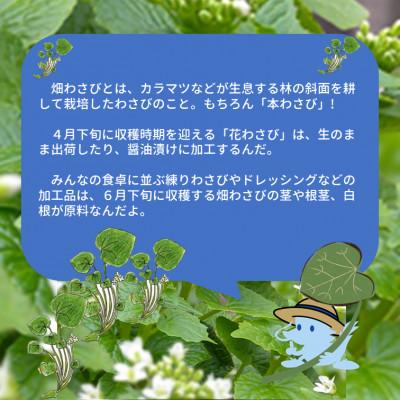 ふるさと納税 岩泉町 畑わさベーゼ100g入り 2個セット |  | 01