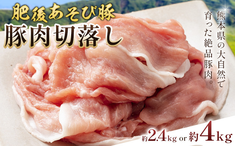 
            肥後あそび豚切落し 選べる内容量 2.4kg 4kg 株式会社さつま屋産業 《90日以内に出荷予定(土日祝除く)》 ぶた ブタ 豚肉 肉 ブランド豚 切り落とし 国産 九州産 熊本県産 菊池市産 冷凍 送料無料 st-p
          