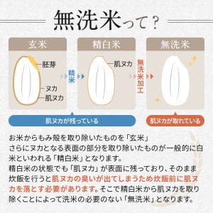 信州人気米 2銘柄 食べ比べ ( 無洗米 ) 10kg 長野県産 [ こしひかり・あきたこまち ] 各5kg