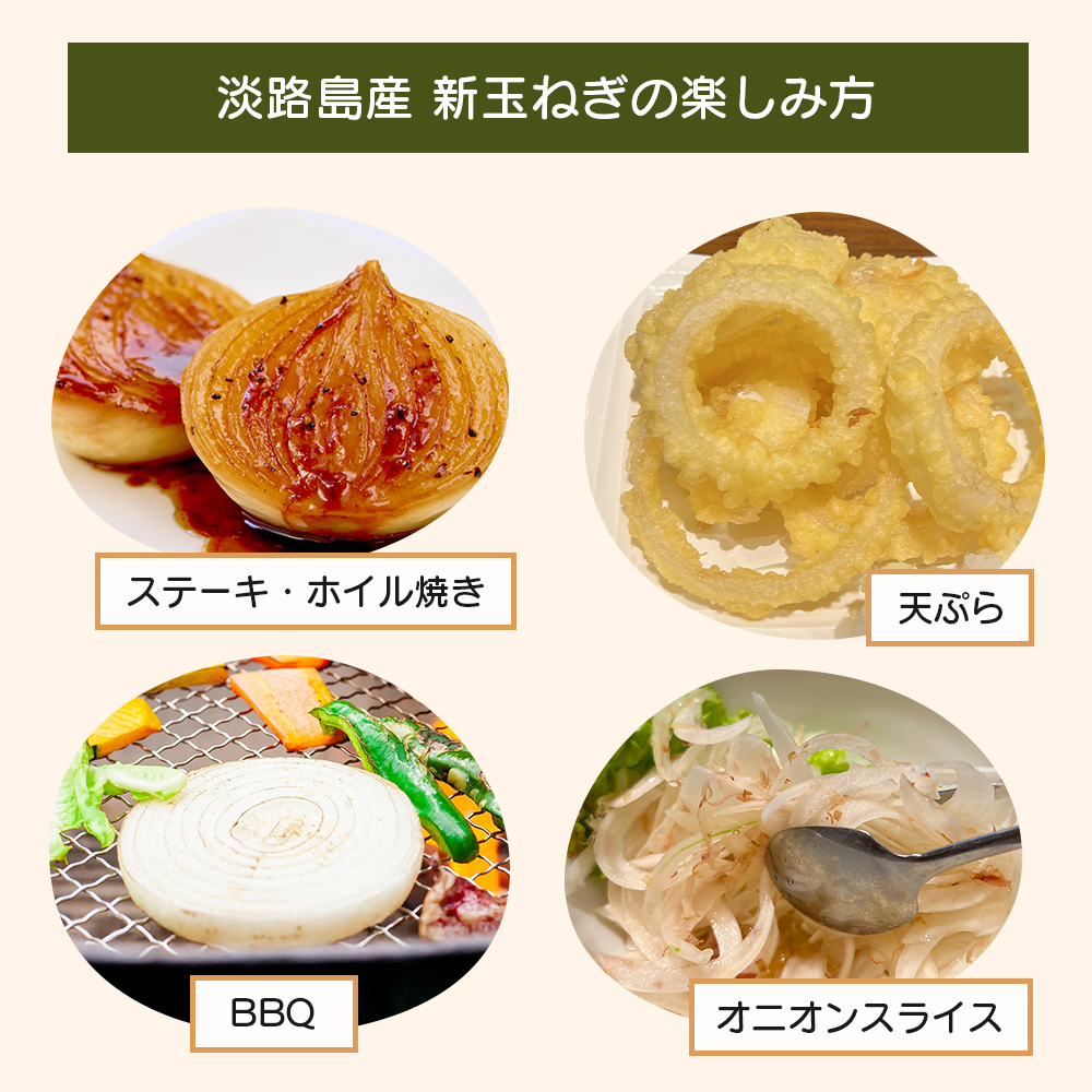 道の駅あわじ厳選新玉ねぎ５kg【発送時期2027年5月頃】 玉ねぎ