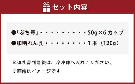 いちご 冷凍 50g×6カップ 合計300g 練乳 完熟 冷凍 いちご 「ぷち苺」 50g×6カップ 合計300g 練乳付き 1本（120g） 園村苺園 熊本県産冷凍いちご 宇城市産冷凍いちご 九州産