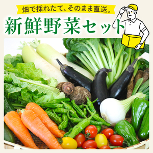 新鮮 野菜セット ( 7～8品 ) 季節の野菜