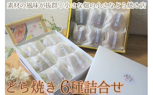 素材の風味が抜群！小さな畑の小さなどら焼き店のほっこり豊かなどら焼き6種詰合せ（粒餡、焼き芋、柚子、きみ餡レモン、季節のどら焼き2種） ※離島への配送不可 | どらやき 菓子 お菓子 和菓子 生菓子 