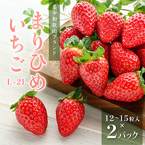 先行受付　まりひめイチゴ L～2L 12粒～15粒×2パック【配送不可地域：離島】【1494230】