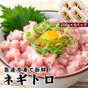 【ふるさと納税】 ネギトロ 1kg 冷凍 鮪 小分けパック 250g × 4パック 鮪 まぐろ マグロ キハダ 冷凍 小分け ネギトロ ねぎとろ ねぎまぐろ まぐろたたき マグロのたたき 高知県 須崎市