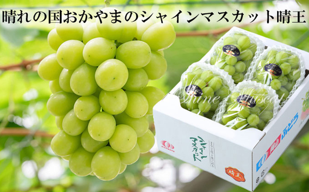 シャインマスカット 晴王 3～6房 計約2kg