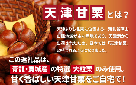 【先行予約】天津甘栗 4kg / 甘栗