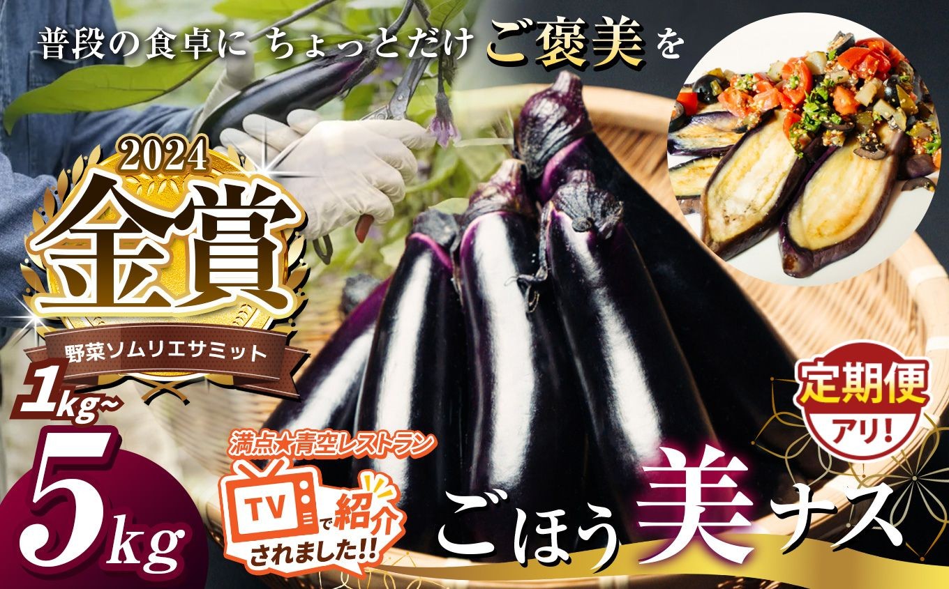 
                  野菜ソムリエサミット金賞「ごほう美ナス」約1kg～5kg | 野菜 やさい 茄子 なす  ナス ふるさと納税  栃木県 真岡市
                