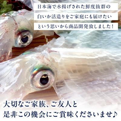 ふるさと納税 京丹後市 京丹後産『海の京都』の逸品!活白イカ姿造り(クリスタル白いか)中サイズ 1杯(200g前後) 冷凍 |  | 03