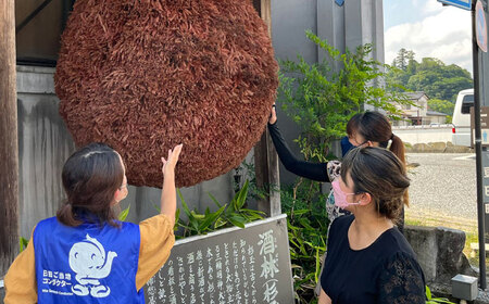 【ご当地お土産付き】豆田町散策ガイドツアー2名分　日田市 / こだわり大分 観光ツアー レトロ 大分県[ARBT003]