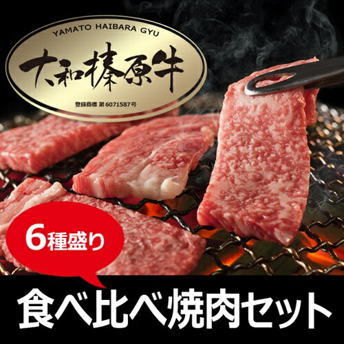 【ふるさと納税】(冷凍)　大和榛原牛　焼肉　6種盛り／うし源本店　牛肉　黒毛和牛　A5　キャンプ　奈良県　特産　ロース　カルビ　モモ　ミスジ　ウデ　イチボ