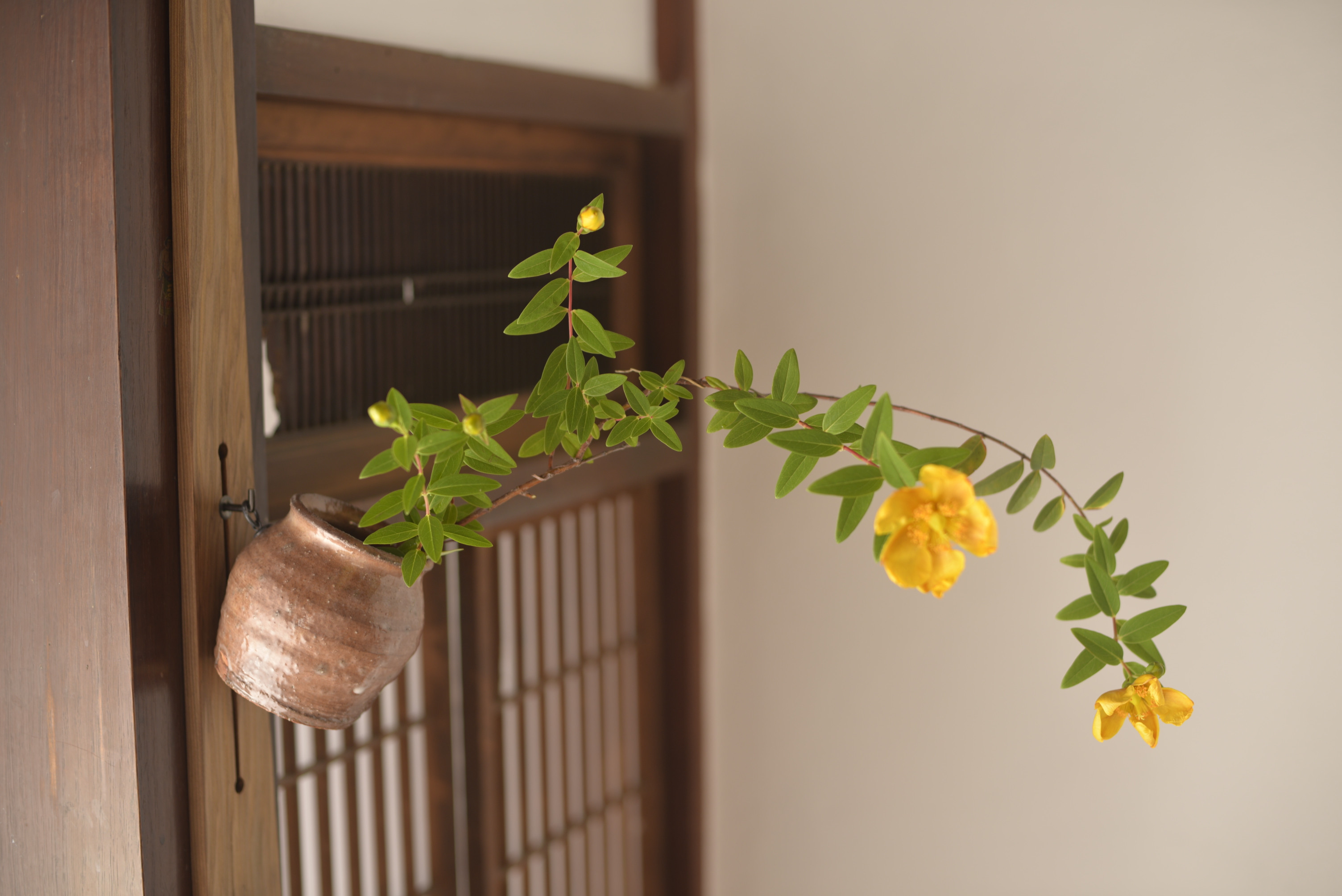 
            萩焼 掛花入（うずくまる）｜HG000744
          