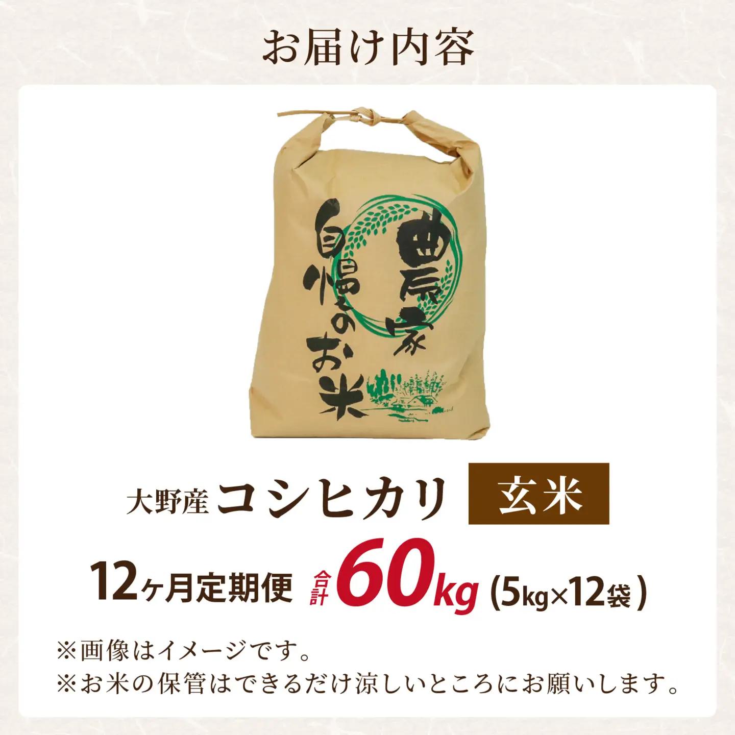 【先行予約】【令和8年産 新米】【12ヶ月定期便】【玄米】福井県大野市　森目のコシヒカリ 5kg｜こしひかり お米 精米 産地直送 福井県 大野