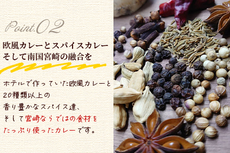 ＜108時間煮込んだカレー 冷凍真空パック 2P×180g＞宮崎県産黒毛和牛使用！108時間煮込んだ黒毛和牛とマンゴーの欧風スパイスカレー2袋！【MI227-tc】【cafe食堂とことこ】