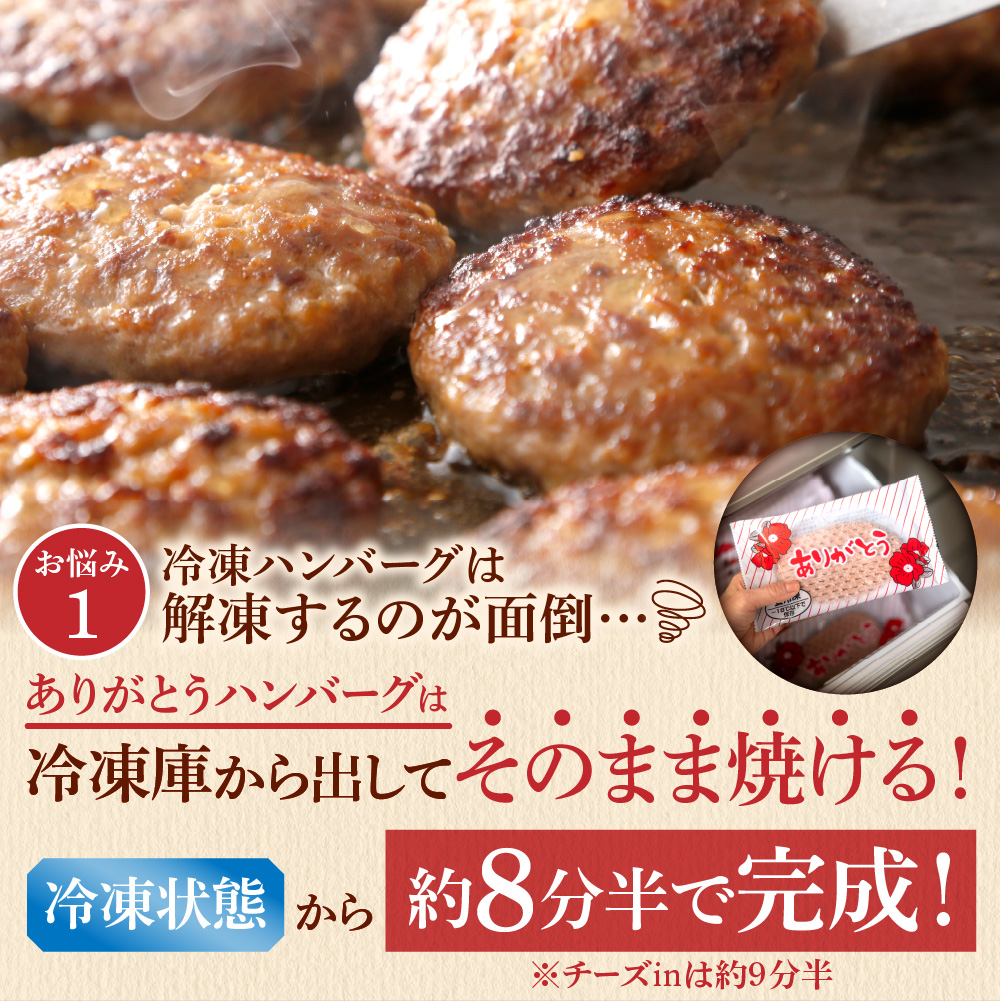 【定期便4回】北海道産ありがとうハンバーグ(90g×24個)定期便