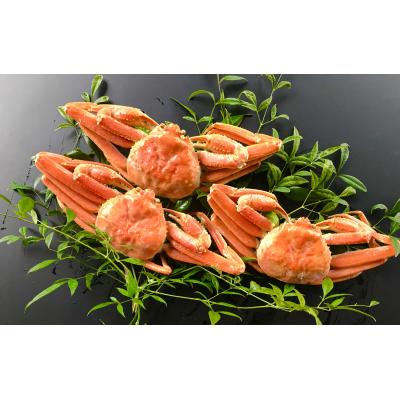 ふるさと納税 米子市 浜ゆで!松葉蟹(足折れ)1.0kg以上(2〜3杯)