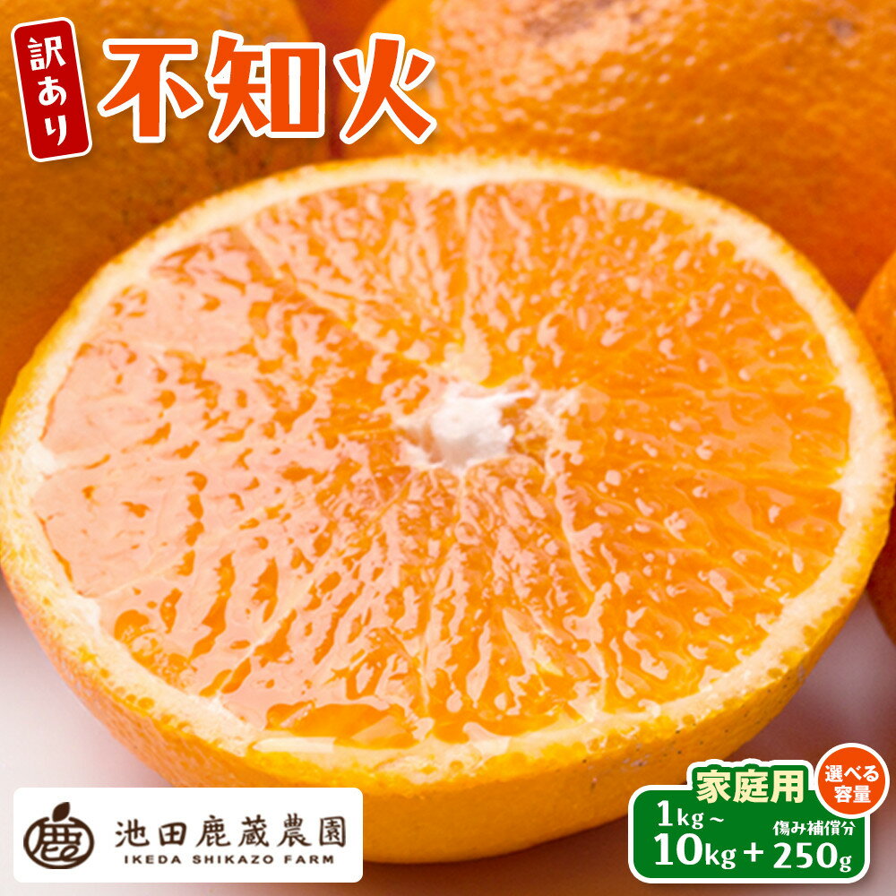 【ふるさと納税】【選べる容量】先行予約 家庭用 不知火 1～10kg+250g（傷み補償分）［デコポンと同品種・人気の春みかん］［わけあり・訳あり］［IKE121］ | 不知火 人気 おすすめ フルーツ 果物 甘味 柑橘類 旬 お取り寄せ 送料無料 ふるさと納税